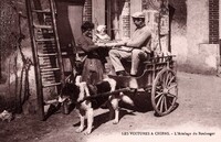 Les Voiture à Chien_ L'Attelage du Boulanger