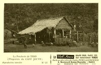Thio - La Porcherie de Thio