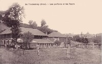Les parfums et les fleurs