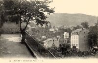 Un Coin de Parc