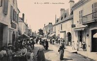 Avenue D'Orthez