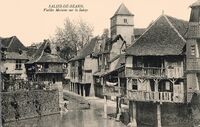 Vieilles Maisons sur la Saleys - Lavandière