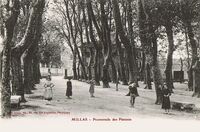 Promenade des Platanes