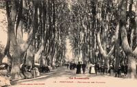 Promenade des Platanes