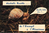 Escargot à L'Alsacienne