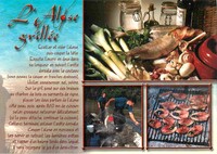 Alose Grillée