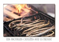 Anguilles Grillées sur la Braise