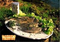 Truite au Roquefort