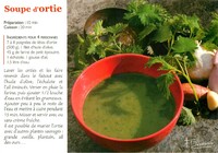 Soupe D'Ortie
