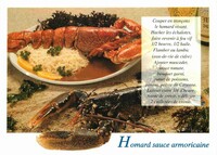 Mollusque- Homard sauce Armoricaine