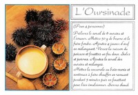 Mollusque- L'Oursinade