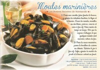 Mollusque- Moules Marinières