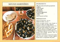 Mollusque- Moules Marinières
