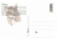 Txilindron.