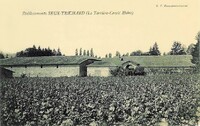 Etablissements Seux-Trichard 