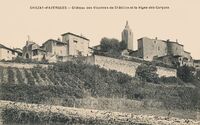 Château des Vicomte de Châtillon et la Vigne des Garçons