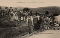 Les Vendanges en Beaujolais