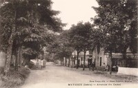 Avenue du Canal