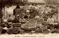 Coopérative des Producteurs -L'emballage