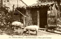 Deux porte-Bonheur
