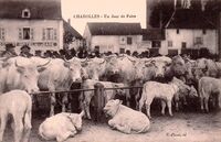 Un Jour de Foire