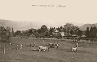 Vimines - Le Château