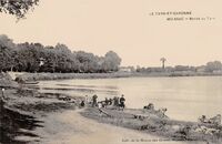 Bords du Tarn- Lavandières