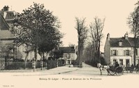 Boissy-Saint-Léger - Place et Avenue de la Princesse