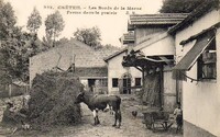 Les Bords de la Marne. Ferme dans la prairie