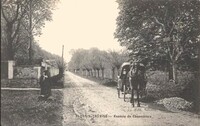 Le Plessis-Trévise - Avenue de Chènevière