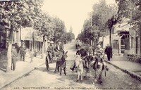 Boulevard de l'ermitage Promenade à Ane