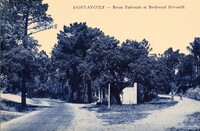 Saint-Aygulf - Fréjus - Boulevard Salvarelli et Route Nationale