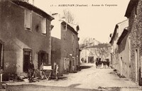 Avenue de Carpentras