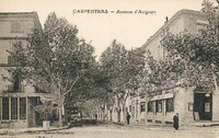 Avenue d'Avignon