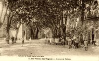 Avenue de Valréas