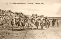 Promenade à Ane sur la Plage
