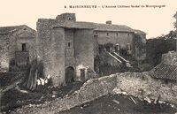 Maisonneuve - L'Ancien Château Féodal de Montgaugier