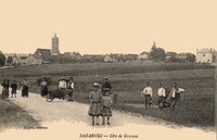 Bazarnes - Côte de Cravant