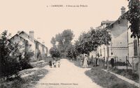L'Avenue des Tilleuls
